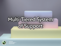 Multi-Tiered System of Support (MTSS)